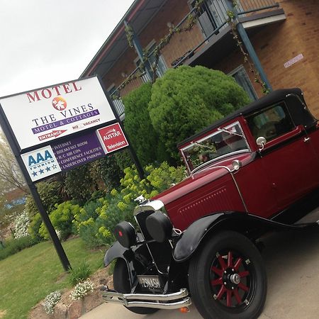 The Vines Motel & Cottages Stanthorpe Ngoại thất bức ảnh