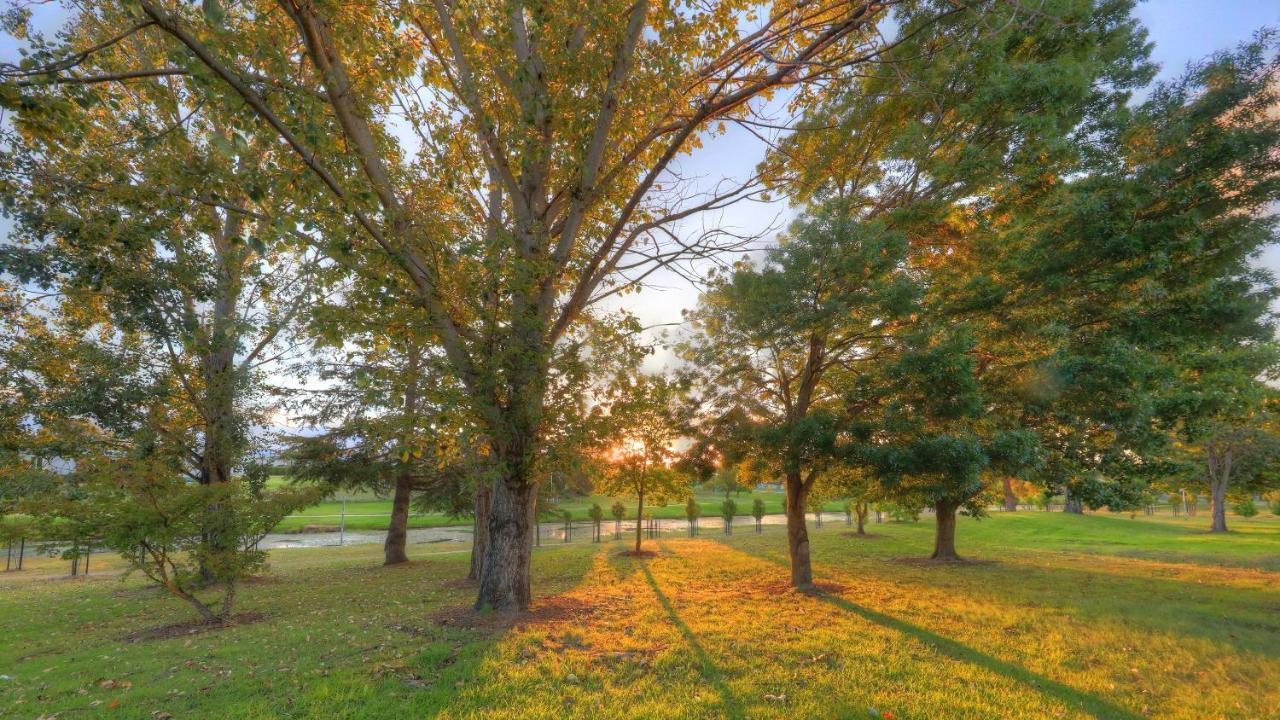 The Vines Motel & Cottages Stanthorpe Ngoại thất bức ảnh